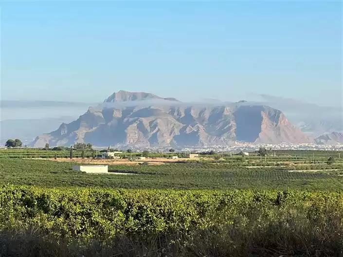 Flat 69m² in Spain, Algorfa. Priced at 249950€ rent photo-2