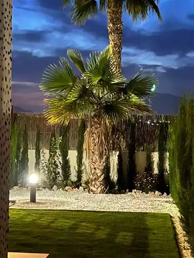 Flat 69m² in Spain, Algorfa. Priced at 249950€ rent photo-36