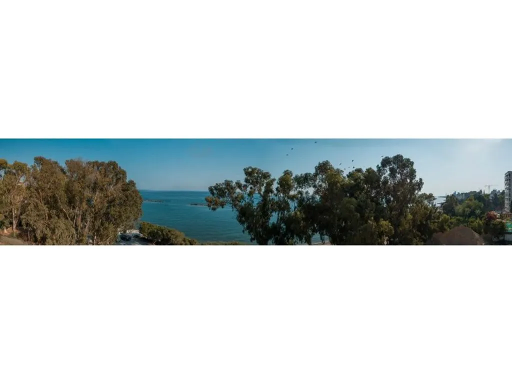 Flat 215m² in Cyprus, Limassol. Priced at 2000000€ rent photo-10