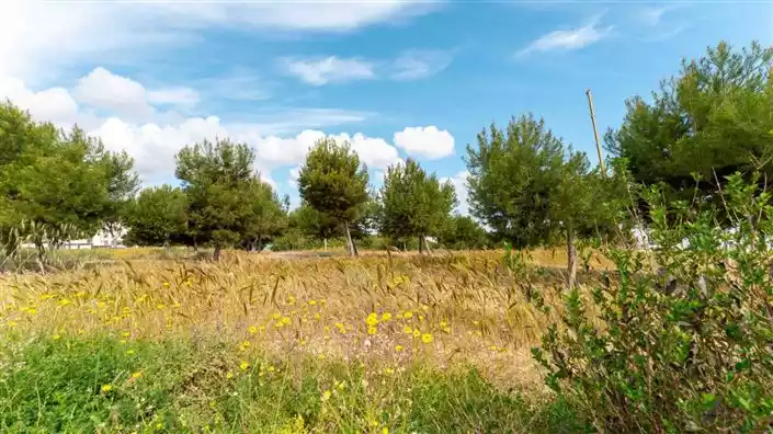 Other Properties 73m² in USA, Washington. Priced at 310000€ rent photo-26