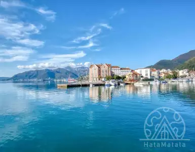 Buy in Montenegro for 1350000€