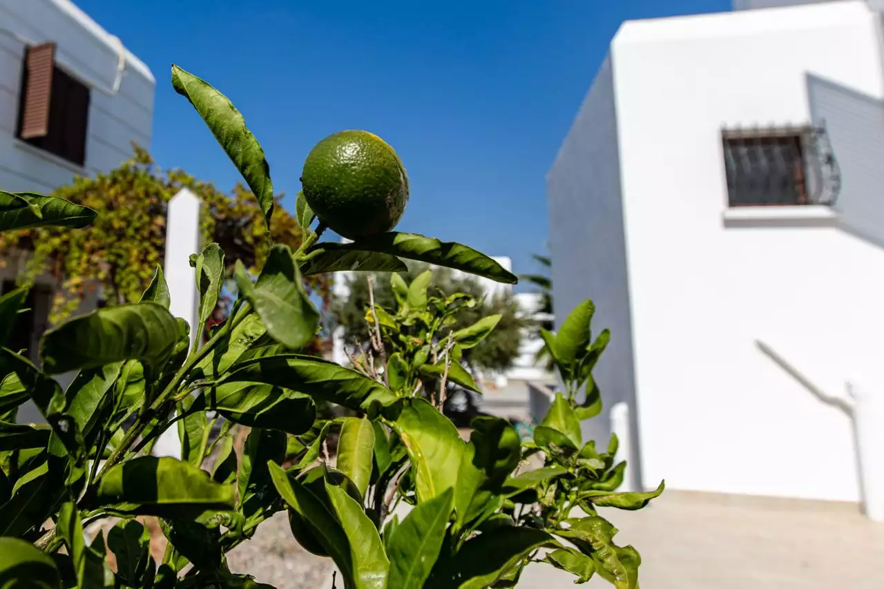 Villa 154m² in Cyprus, Erenka's Kuchyuk. Priced at 268000£ rent photo-5