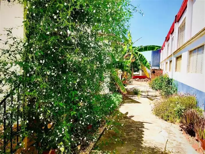 House 201m² in Spain, Gandia. Priced at 158000€ rent photo-20