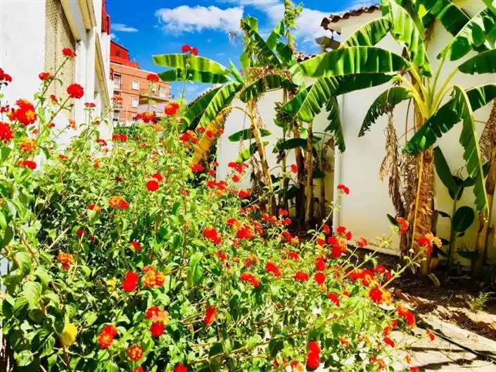 House 201m² in Spain, Gandia. Priced at 158000€ rent photo-21