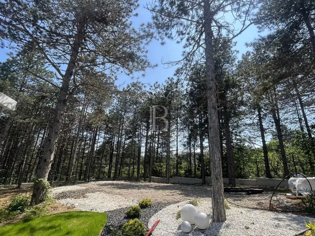 House 291m² in Montenegro, Golubovci. Priced at 569000€ rent photo-5