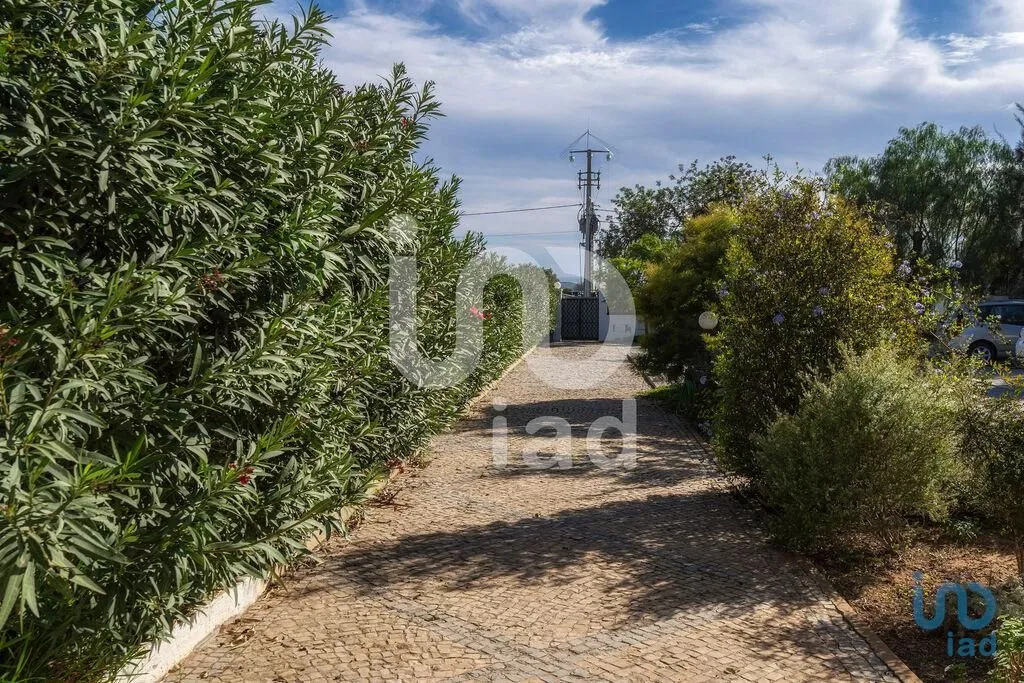 House 955m² in Portugal, Tavira. Priced at 1950000€ rent photo-6