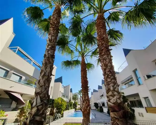 Other Properties 66m² in Spain, Torrevieja. Priced at 219600€ rent photo-1
