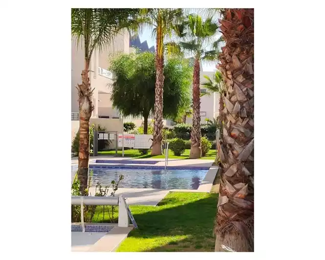 Other Properties 66m² in Spain, Torrevieja. Priced at 219600€ rent photo-3