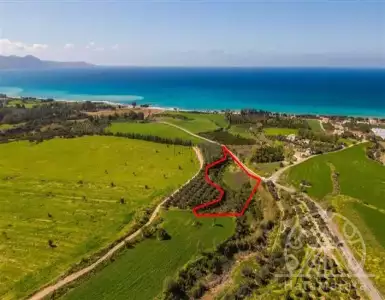 Купить other properties в Cyprus 320000€
