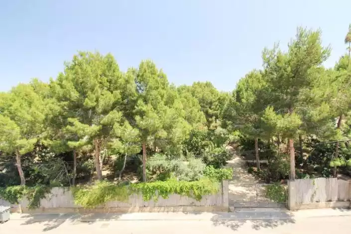 Townhouse 63m² in Spain, Algorfa. Priced at 94500€ rent photo-18