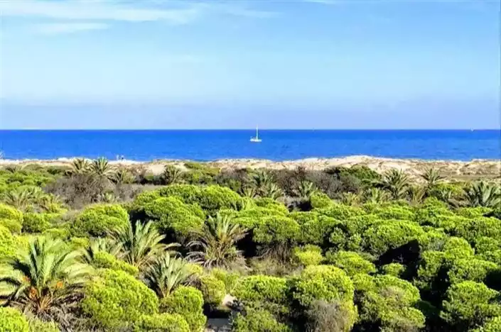 Flat 60m² in Spain, Guardamar del Segura. Priced at 150000€ rent photo-19