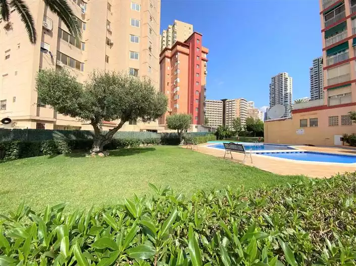 Flat 64m² in Spain, Benidorm. Priced at 265200€ rent photo-23