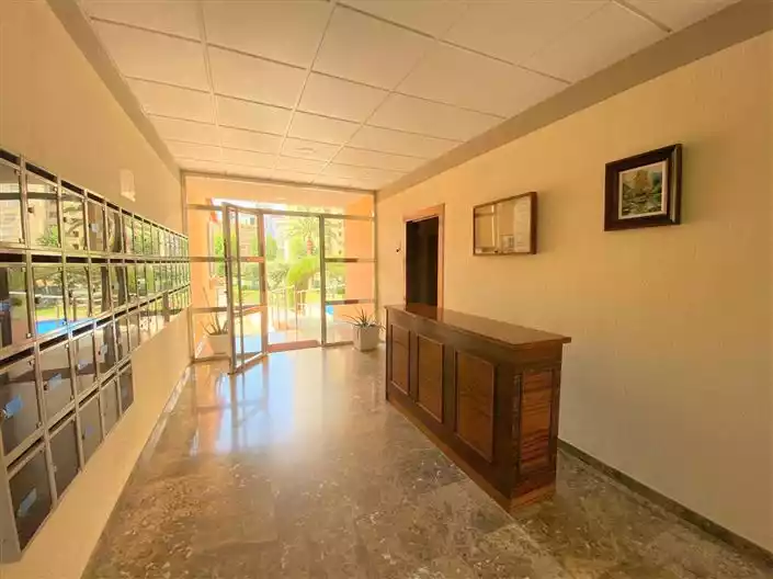 Flat 64m² in Spain, Benidorm. Priced at 265200€ rent photo-26