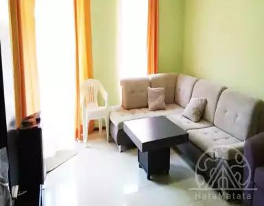 Buy in Bulgaria for 31200€