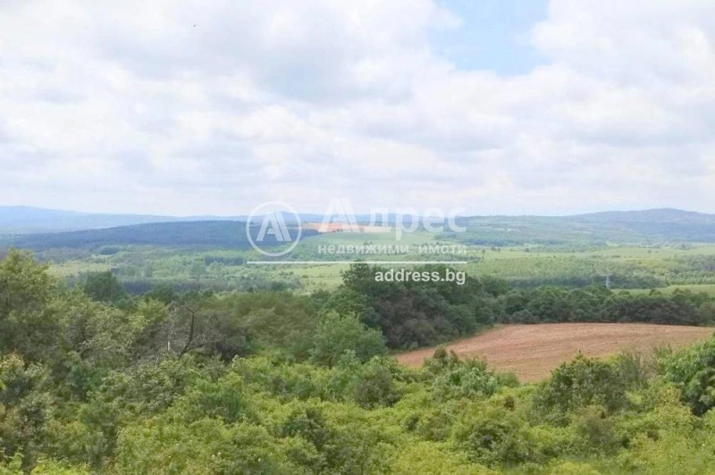House 192m² in Bulgaria, Sofia. Priced at 74380£ rent photo-6