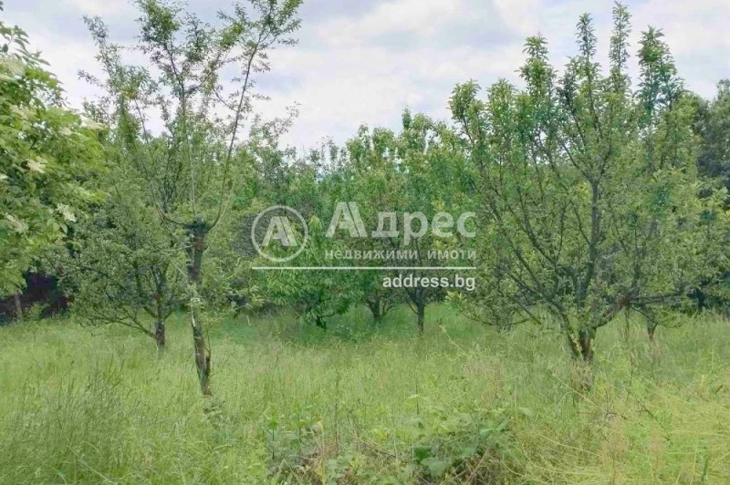 House 192m² in Bulgaria, Sofia. Priced at 74380£ rent photo-8