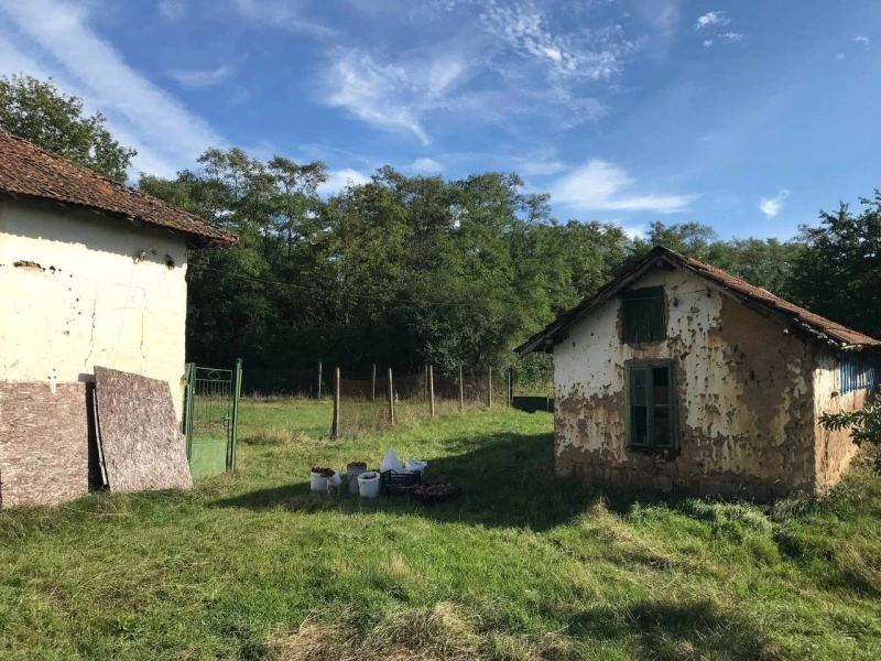 House 40m² in Bulgaria, Sofia. Priced at 24793£ rent photo-6