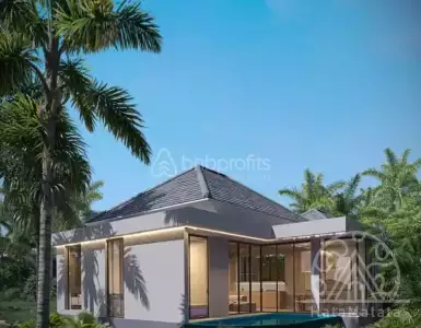 Buy in Indonesia for 160000$