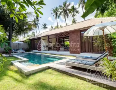 Buy in Indonesia for 185000$