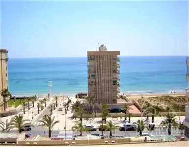 Buy in Spain for 157000€