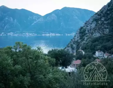 Купить house в Montenegro 385000€