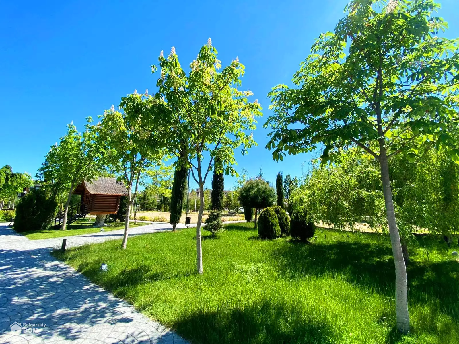 Flat 34m² in Bulgaria, Sunny Beach. Priced at 45900€ rent photo-9