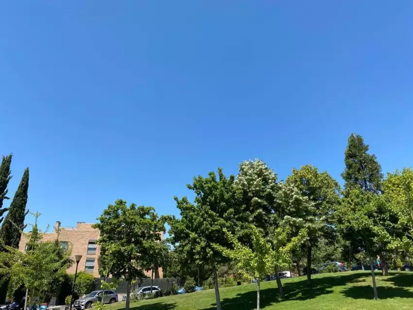 Flat 121m² in Spain, Madrid. Priced at 790000€ rent photo-7