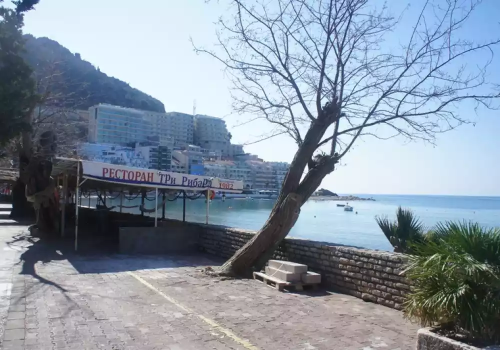 Flat 85m² in Montenegro, Rafailovici. Priced at 530000€ rent photo-5
