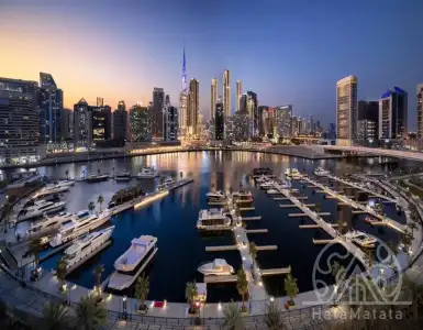 Buy in UAE (United Arab Emirates) for 6164384$