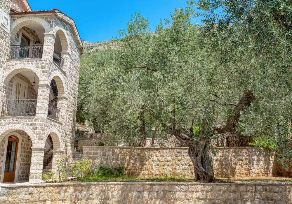 Villa 500m² in Montenegro, Rezevici. Priced at 2850000€ rent photo-16