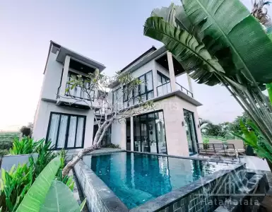 Buy in Indonesia for 432994$