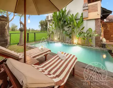 Buy in Indonesia for 249000$