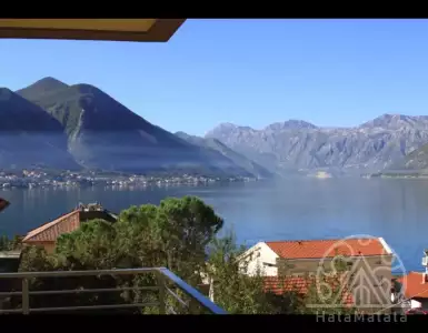 Buy in Montenegro for 265100€