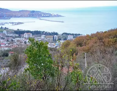 Buy in Montenegro for 85000€