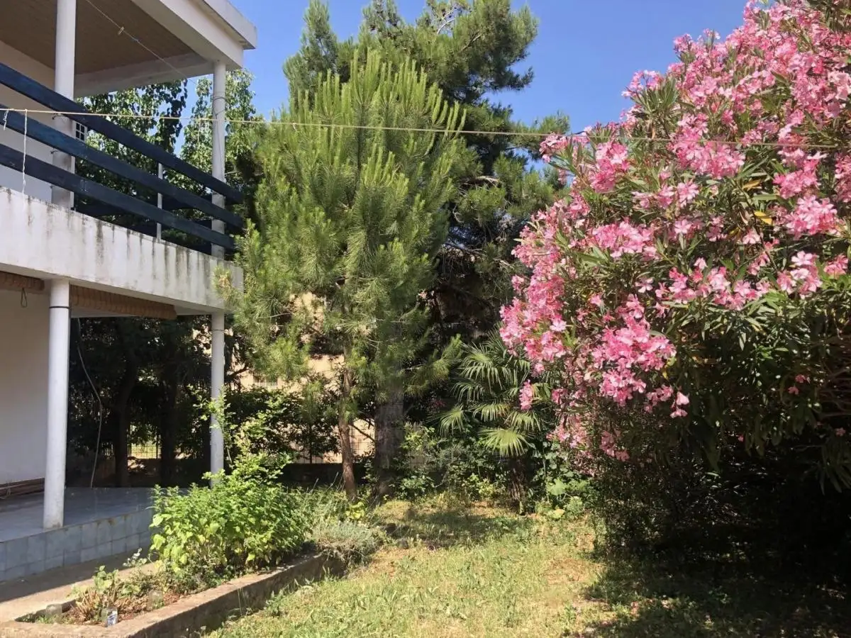 House 200m² in Montenegro, Dobra Voda. Priced at 185000€ rent photo-20