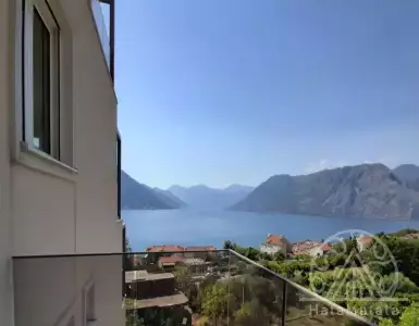 Buy in Montenegro for 195000€