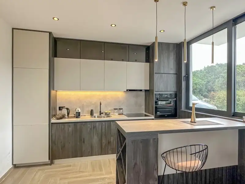 House 167m² in Montenegro, Dobra Voda. Priced at 450000€ rent photo-10