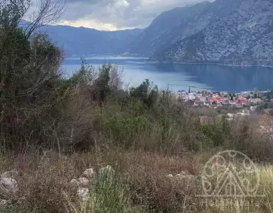 Buy in Montenegro for 64000€