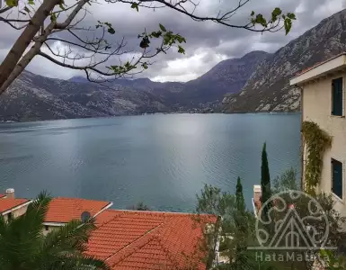 Buy in Montenegro for 460000€