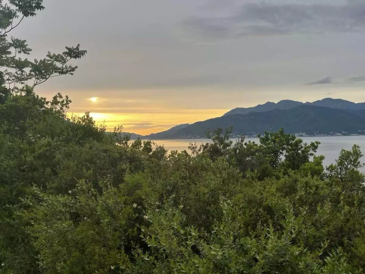 Land 1m² in Montenegro, Djurasevici. Priced at 250000€ rent photo-9