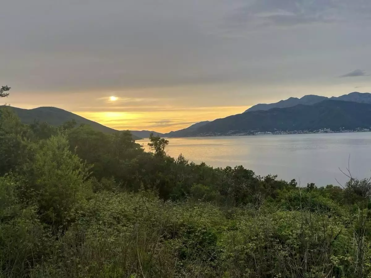 Land 1m² in Montenegro, Djurasevici. Priced at 250000€ rent photo-10
