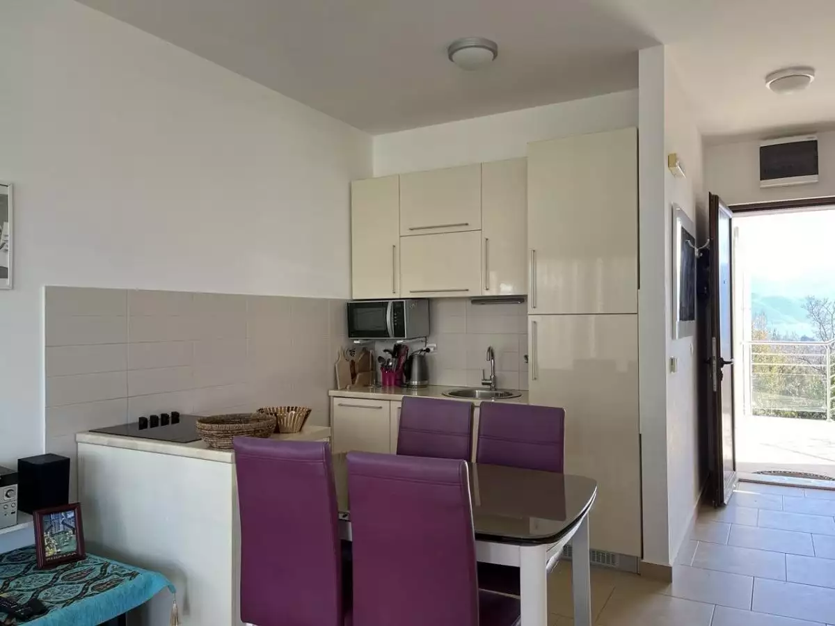 Flat 48m² in Montenegro, Denovici. Priced at 170000€ rent photo-10