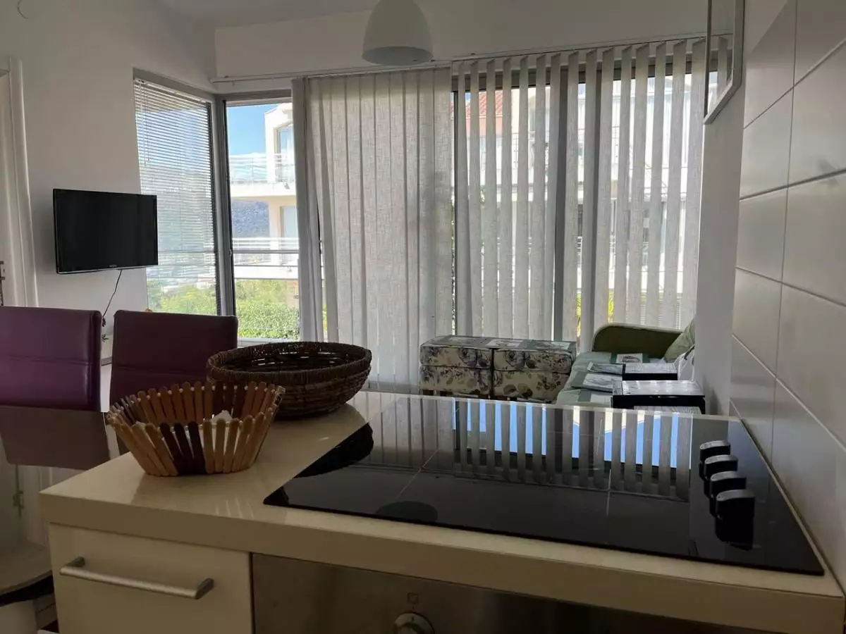 Flat 48m² in Montenegro, Denovici. Priced at 170000€ rent photo-12