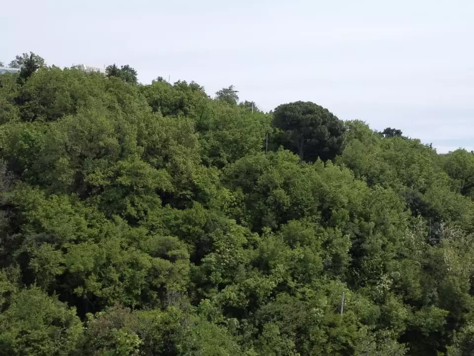 Land 1m² in Montenegro, Sutomore. Priced at 75000€ rent photo-3