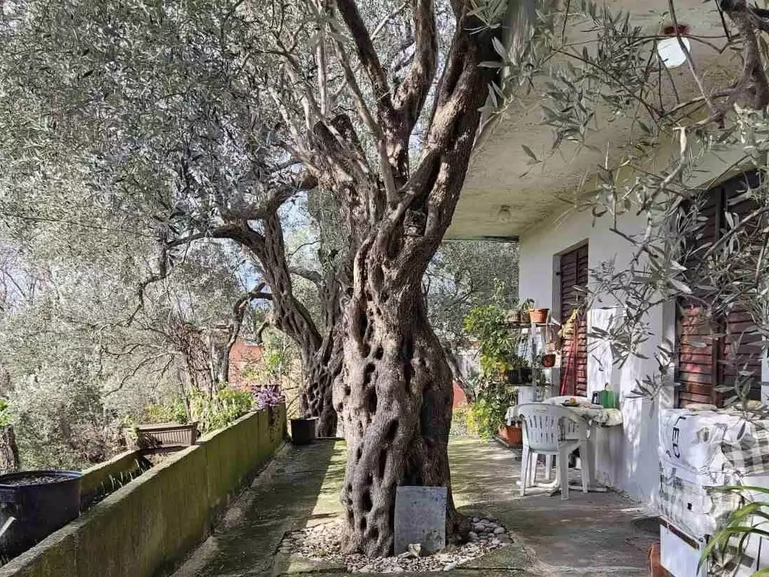 House 82m² in Spain, Barcelona. Priced at 210000€ rent photo-1