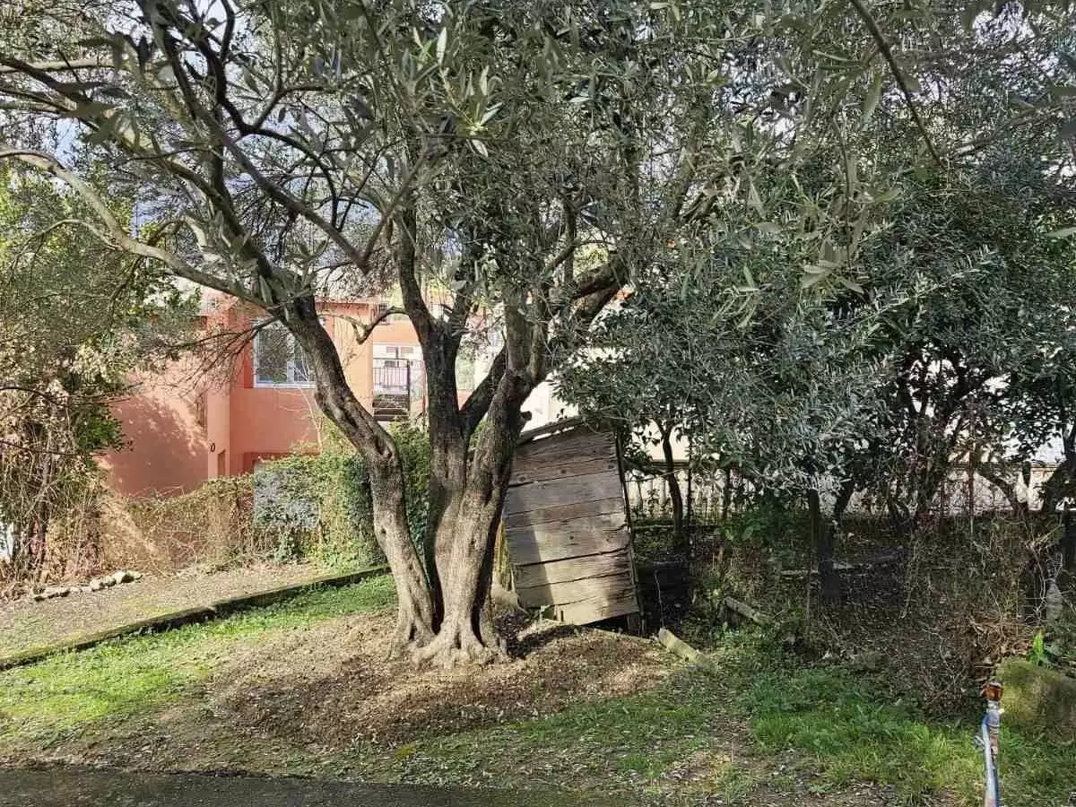 House 82m² in Spain, Barcelona. Priced at 210000€ rent photo-2