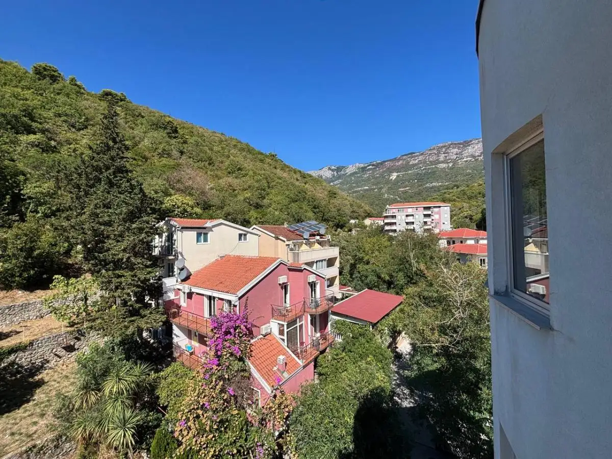 Flat 257m² in Montenegro, Becici. Priced at 800000€ rent photo-10