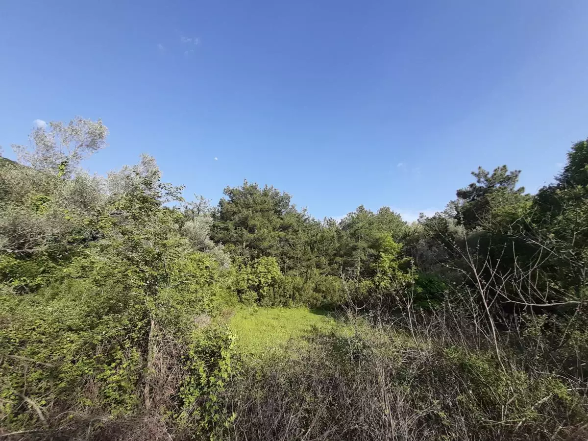 Land 1m² in Montenegro, Kavac. Priced at 52500€ rent photo-3