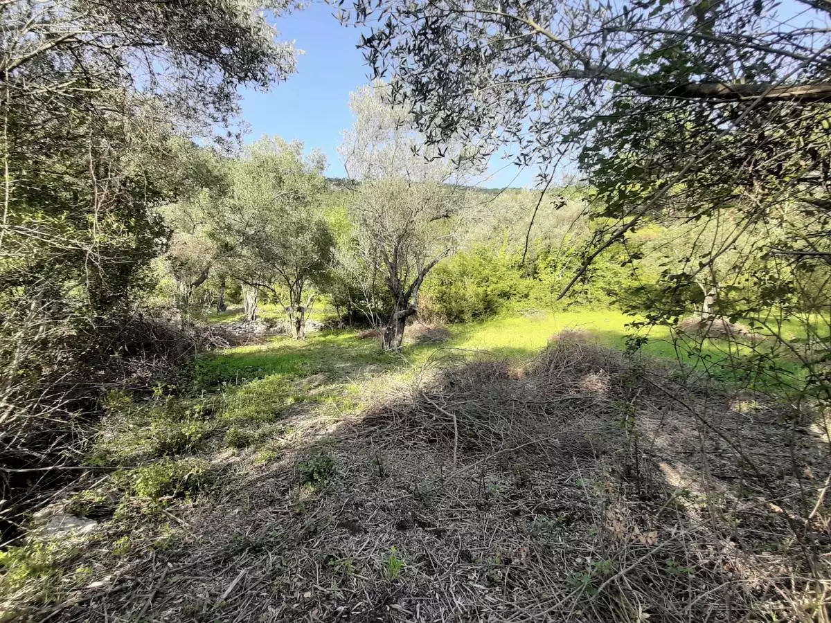 Land 1m² in Montenegro, Kavac. Priced at 52500€ rent photo-4