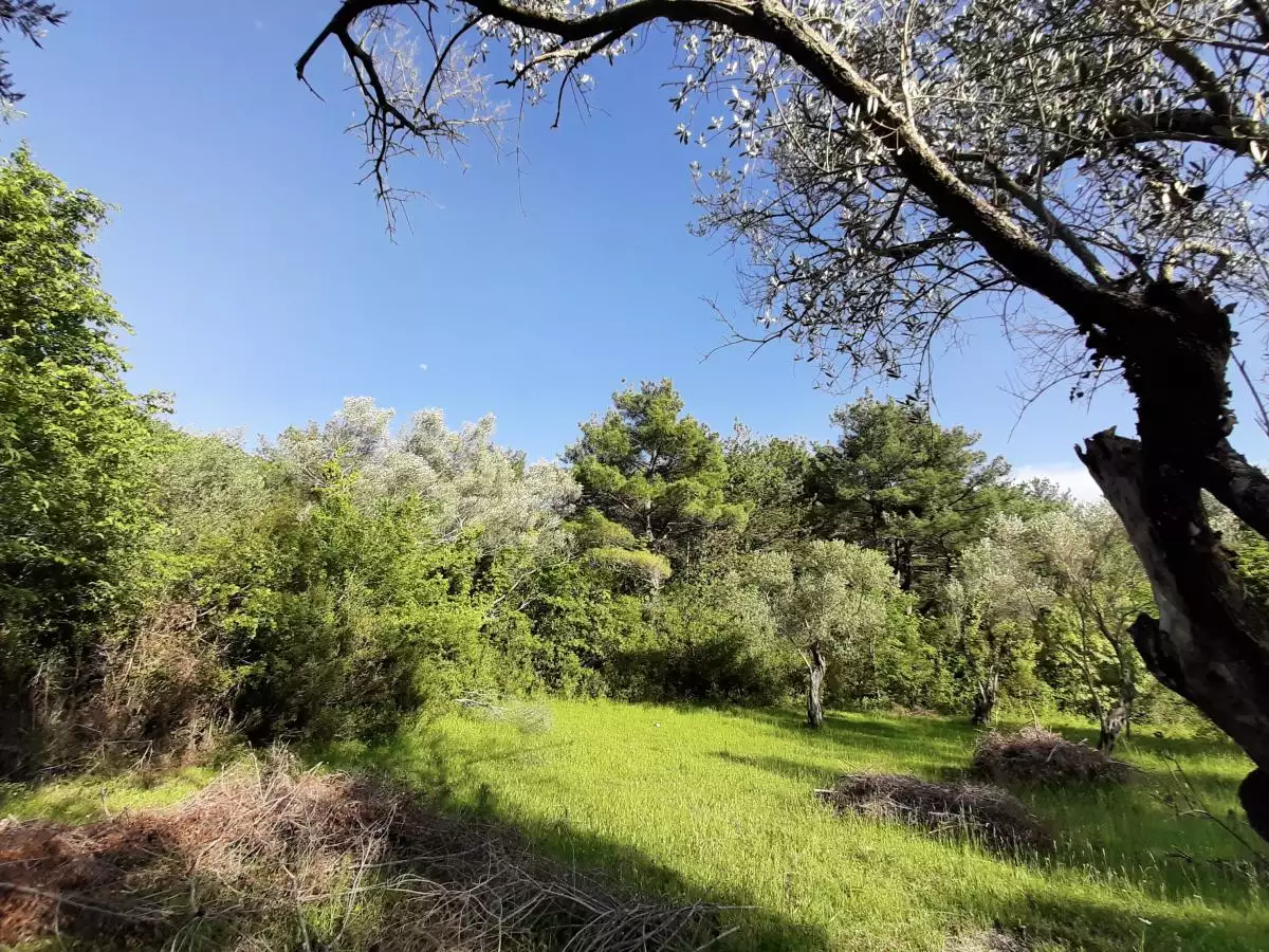 Land 1m² in Montenegro, Kavac. Priced at 52500€ rent photo-5
